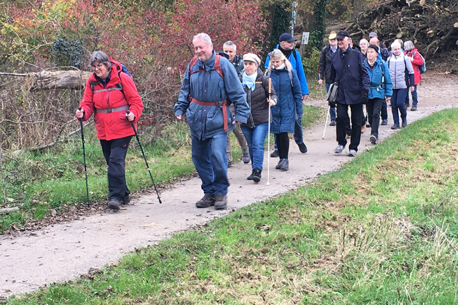 Eine Gruppe von Menschen wandert auf einem Feldweg durch ein Waldgebiet, einige benutzen Wanderstöcke andere Blindenstöcke.