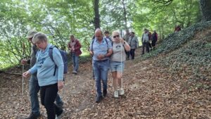 Eine Gruppe von Menschen, von denen einige weiße Blindenstöcke benutzen, geht einen mit Laub bedeckten Waldweg entlang.